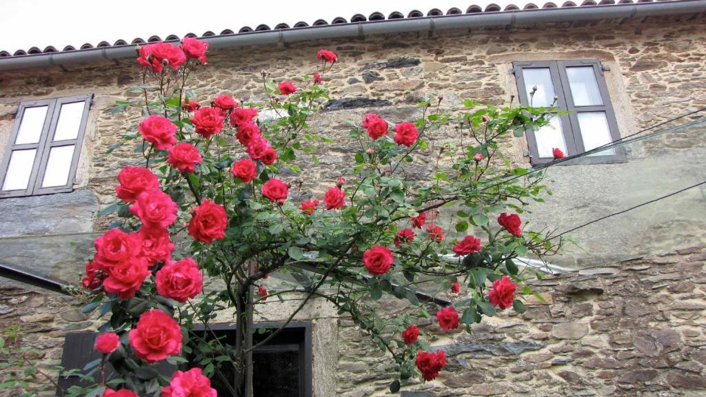 Pensjonat Casa Lucas Arzúa Zewnętrze zdjęcie