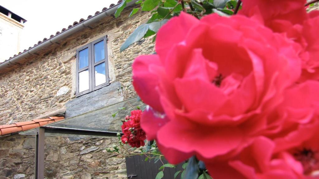 Pensjonat Casa Lucas Arzúa Zewnętrze zdjęcie